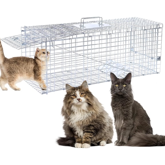 32" Live Animal Traps,Humane Animal Trap for Stray Cats up to 16.5 pounds, Raccoons, Squirrel, Skunk, Mole, Groundhog, Armadillo, Rabbit,Steel Foldable with Pedal Triggers