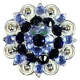 thumbnail image 1 of 32 Monaq Blue Black Crystals Berry Concho Rhinestone Headstall Saddle, 1 of 4