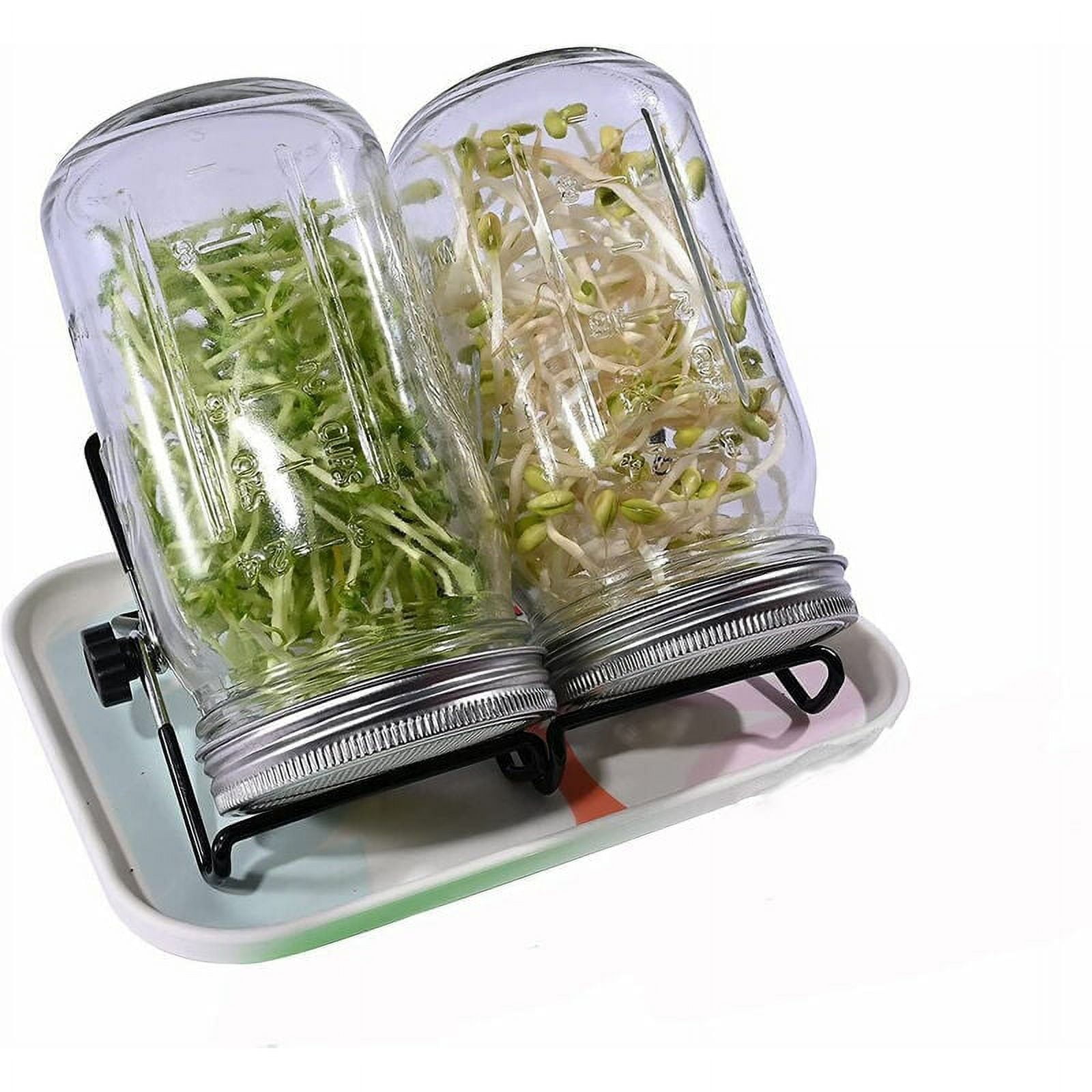 32 Oz Seed Sprouter With Stainless Steel Lids, Tray, Stand And Seed ...