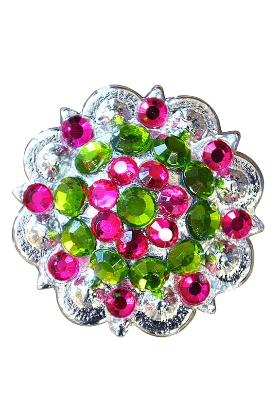 32 Peridot Green & Fuchsia Crystals Berry Concho Rhinestone Headstall