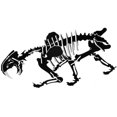 thumbnail image 1 of 32 Square SMI14BWB 0.25 in. Oversized 3D Dinosaur Puzzle - Smilodon, Black, White & Black - 30 Piece, 1 of 1