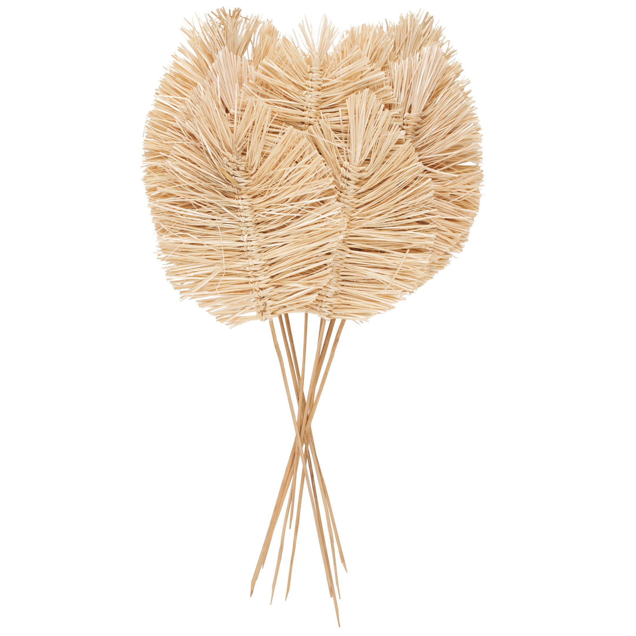 32" Tall Spear Dried Plant Natural Foliage Bouquet with Sharp Stems, by DecMode
