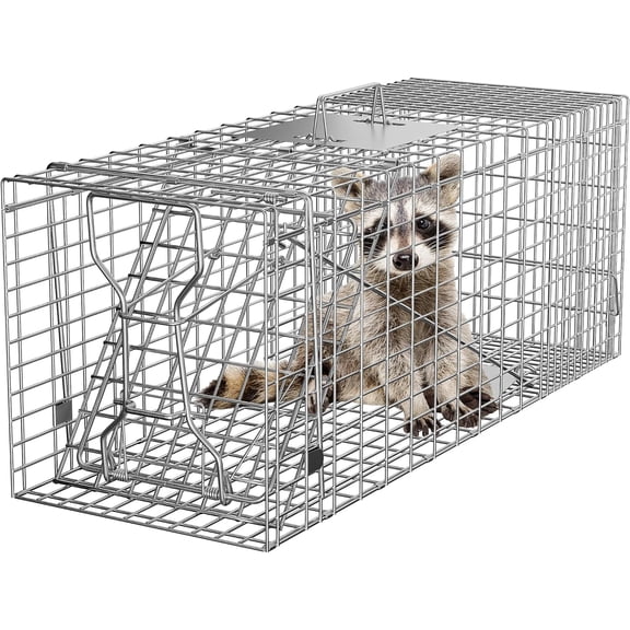 32" X 12" X 12.5" Large Live Animal Trap Cage Humane One-Door Solid Steel Catch and Release Rodent Cage for Raccoon, Rabbits, Stray Cats, Squirrel, Groundhogs, Opossums, Armadillos