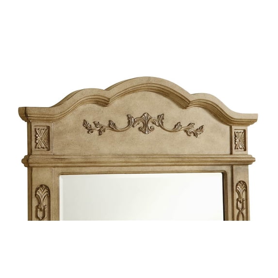32 in. Traditional Mirror in Antique Beige