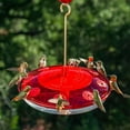 thumbnail image 1 of 32 ounce Happy Eight Hummingbird Feeder, 1 of 4