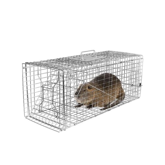 32 x 12.5 x 12 in. Humane Cat Trap Cage Catch Release Live Animal Rodent Cage Collapsible Galvanized Wire for Raccoons Beavers Groundhogs Foxes Armadillos