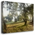 thumbnail image 1 of 32" x 21" Oak Tree - 70 by Alan Blaustein - Print on Canvas Fabric Multi-Color, 1 of 3