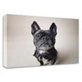 thumbnail image 1 of 32" x 24" Bailey by Susan Sabo - Wall Art Print on Canvas Fabric White, 1 of 3