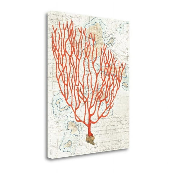 32" x 40" Textured Coral IV By Avery Tillmon- Print on Canvas Fabric Multi-Color