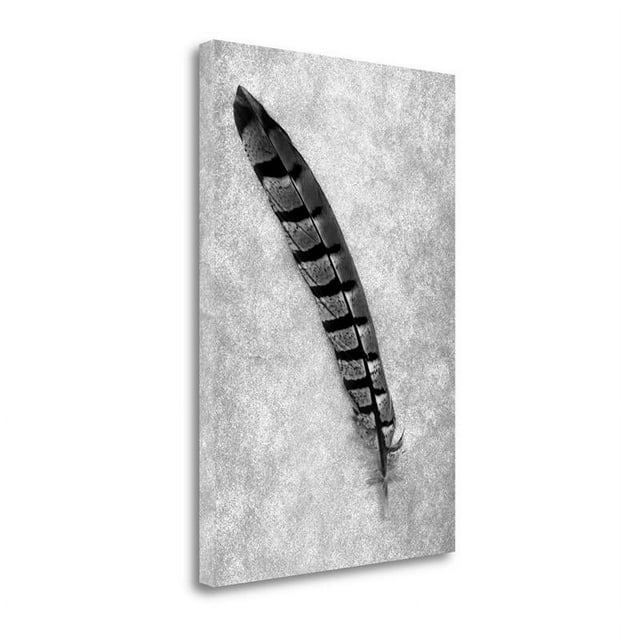 32" x 47" Feathers - 6 By Alan Blaustein - Print on Canvas Fabric Multi-Color