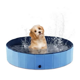 https://i5.walmartimages.com/seo/32-x-8-Foldable-Dog-Bath-Swimming-Pool-Plastic-Kiddie-Pool-Portable-Tub-Collapsible-Grooming-Bathtub-for-Pets-Kids-Baby-and-Toddler_42d1652e-4ebd-4196-be6f-d0056bc0af9b.8c8b8b4352cc8b441f72aafaa7911588.jpeg?odnHeight=320&odnWidth=320&odnBg=FFFFFF