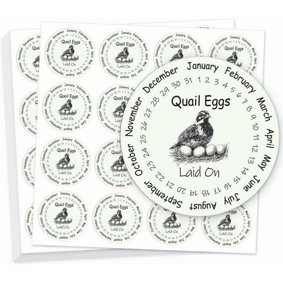 320 Pcs Quail Farm Fresh Eggs Stickers 2 Inch Round Unwashed Eggs Carton Labels Sticker PET Adhesive Egg Packaging Stickers for DIY Making