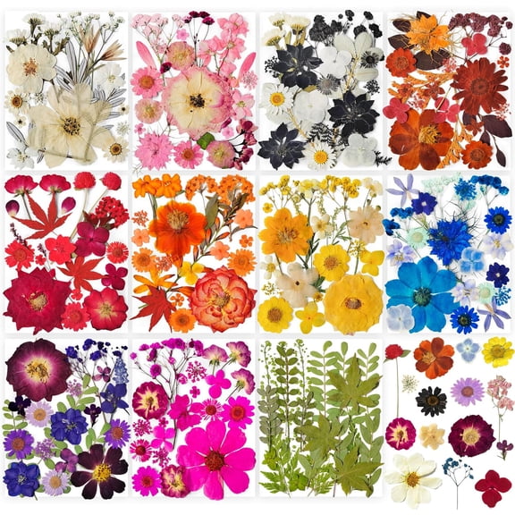 320PCS Dried Pressed Flowers Bulk for Resin, Real Natural Pressing with Two Sheets Butterfly Stikers Mold DIY Art Crafts,Home Dcor,Cherish