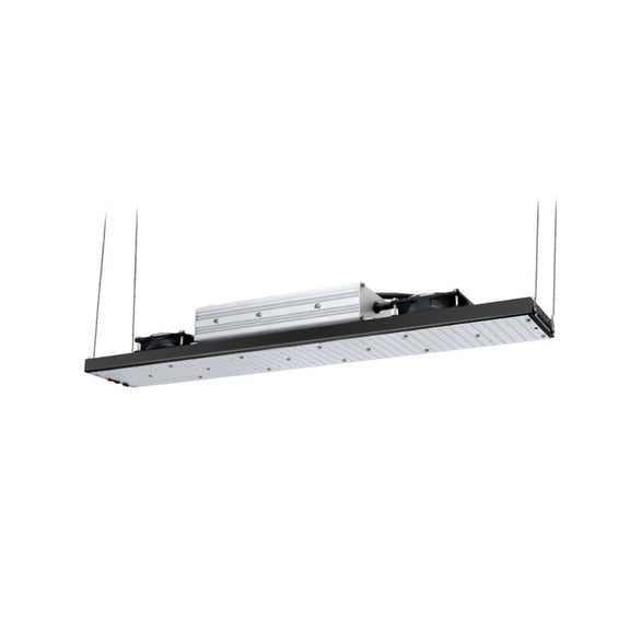 320W 650W 1000W LM301H LED Full Spectrum LED Grow Light Dimmable Phytolamp Driver For Indoor Plants Veg/Flower ,Higher Efficiency