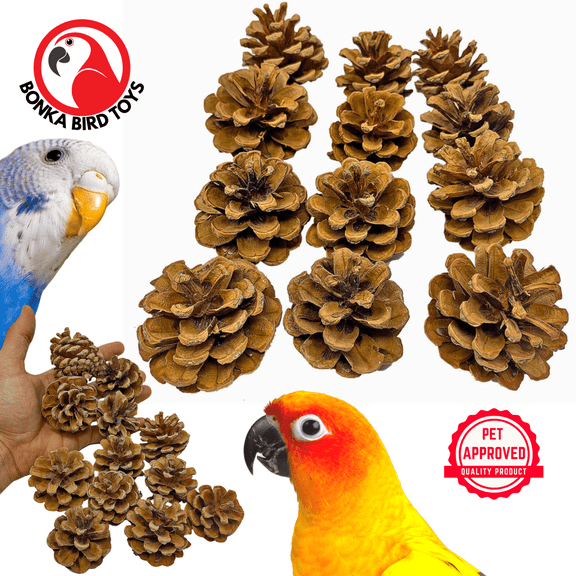 Bonka Bird Toys 3284 Pk12 Natural Pinecones Foot Talon Craft Part Parrot Toy Pet