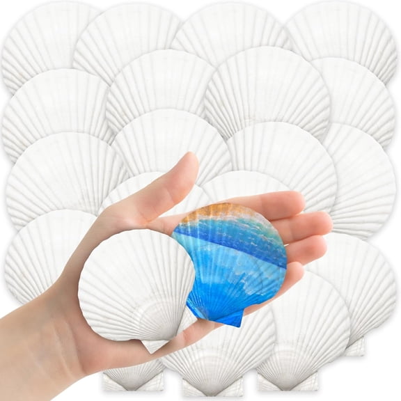 32PCS Natural Scallop Shells,2''-3'' White Seashells Bulk for Crafts DIY Painting Baking and Ocean Summer Beach Wedding Home Decorations