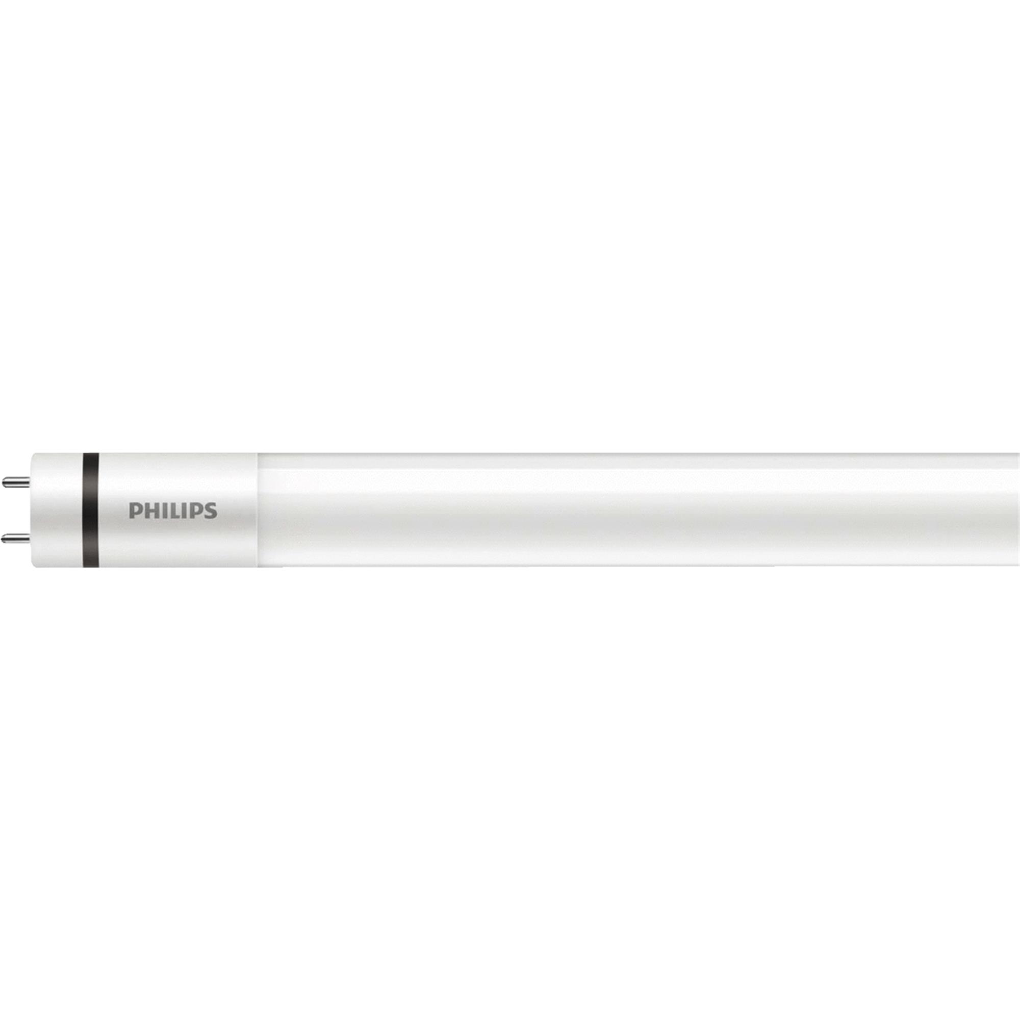 32W 4' T840K BB LED BULB