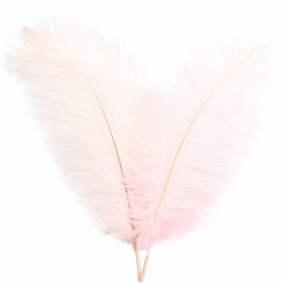 32cm Colorful Feathers - Wedding Decoration, Flower Arrangement, Stage/Clothing Accessory, Realistic & Durable