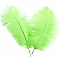 thumbnail image 1 of 32cm Colorful Feathers Wedding Decoration Lifelike No-Fade Flower Arrangement for Party, 1 of 2