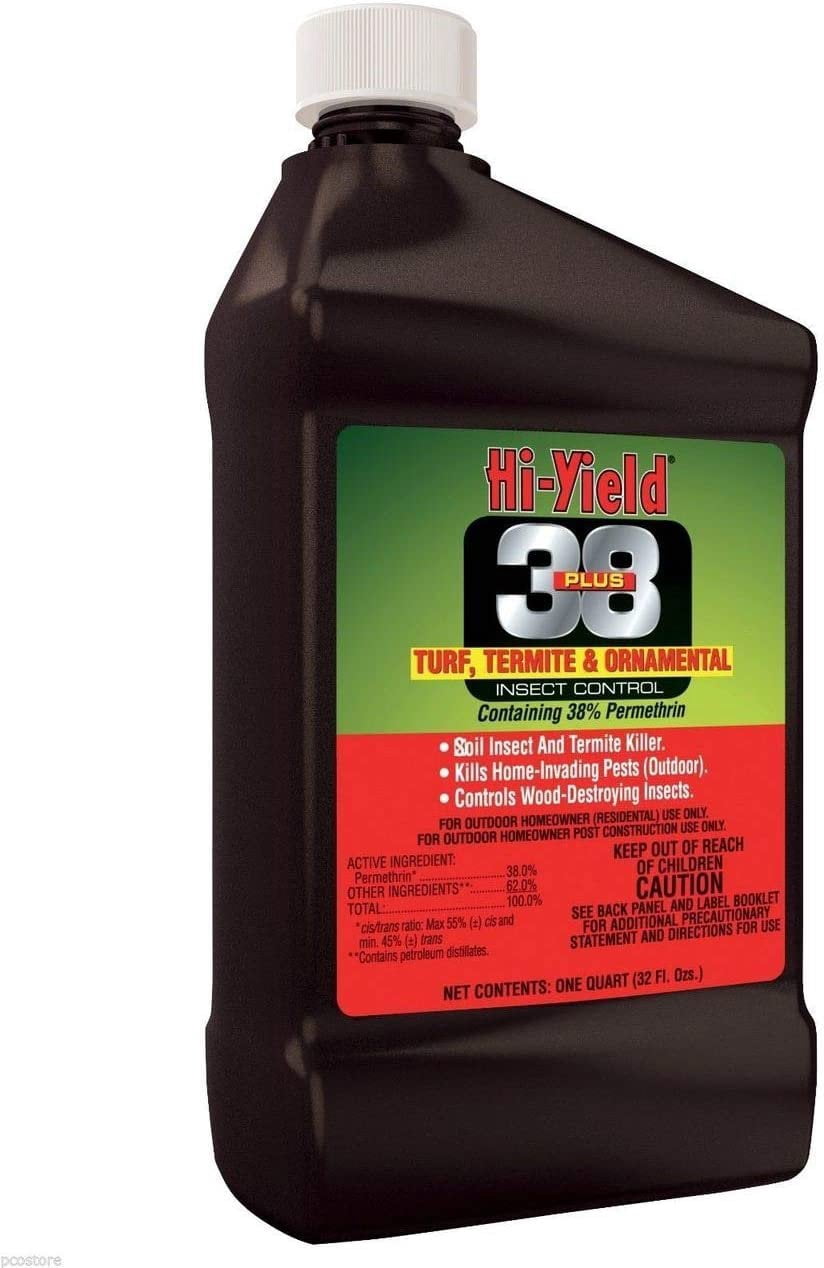 32oz 38 Plus