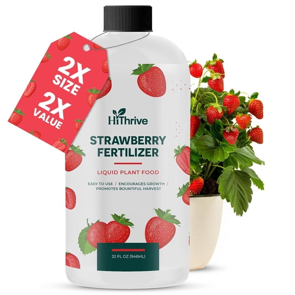 32oz Strawberry Fertilizer - Makes 32 Gallons of Fruit Tree Fertilizer for Strawberries, Liquid Plant Food Outdoor, Ideal Strawberry Plant Food for Lush Growth & Bigger, Sweeter Strawberries