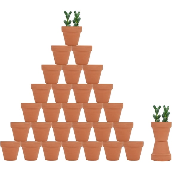 32pcs Small Mini 2" Terracotta Pot Clay Ceramic Pottery Planter, Cactus Flower N