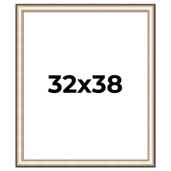 32x38 Frame Gold Silver Plein Aire 2" Inch Wide Moulding Solid Wood Picture Frame | Modena