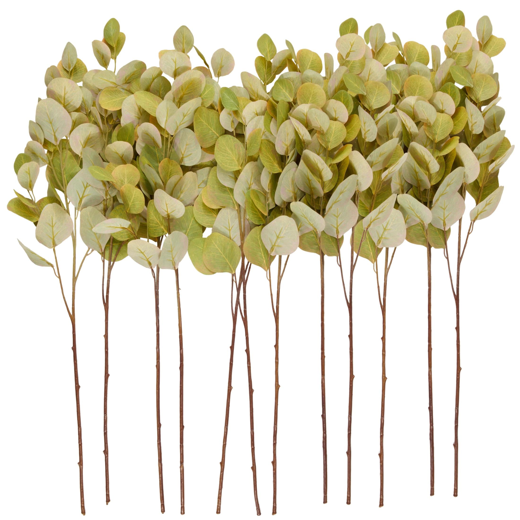 33" Leaf Tall Eucalyptus Stem Plastic Artificial Foliage, by DecMode (12 Count)