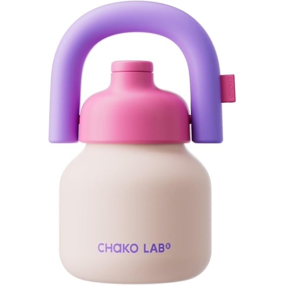 33 Oz Insulated Water Bottle with Straw and Handle Vacuum Ceramic Coated Liner Leak Proof Reusable Flask Keeps Cold 36 Hours Pink and Purple