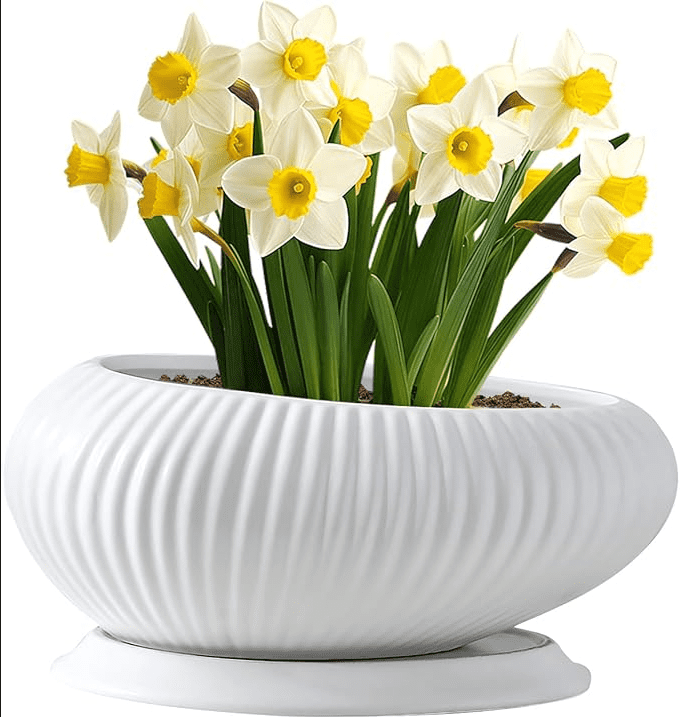 33 x 21 x 13.5 cm Oval White Ceramic Ribbed Planter