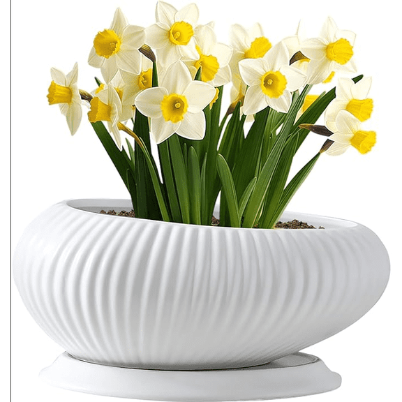 33 x 21 x 13.5 cm Oval White Ceramic Ribbed Planter