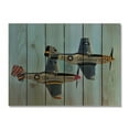 thumbnail image 1 of 33 x 24 in. Wing Man Inside & Outside Cedar Wall Art, 1 of 1