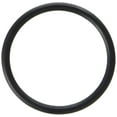 thumbnail image 1 of Pentair 35505-1424 O-Ring Adapter to Tank Replacement for Select Sta-Rite Pool and Spa Filters, 1 of 1