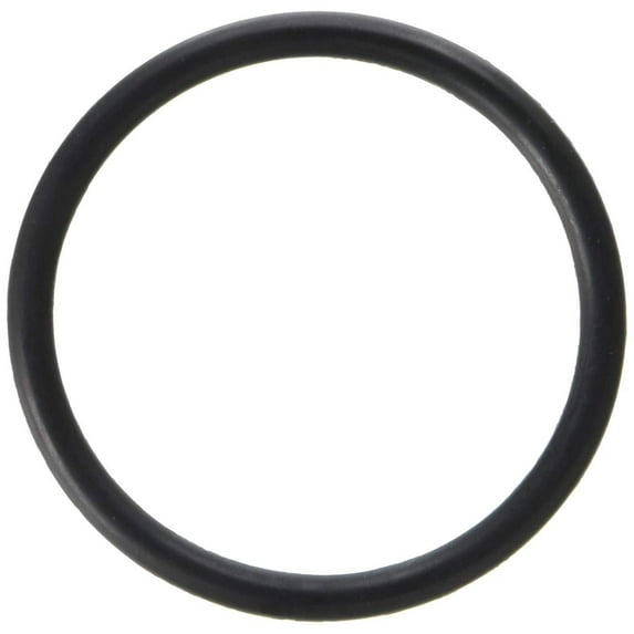 Pentair 35505-1424 O-Ring Adapter to Tank Replacement for Select Sta-Rite Pool and Spa Filters