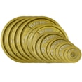 thumbnail image 1 of 335LB Gold Olympic Steel Plate Set - 2 Inch Barbell Standard Weights in Premium Gold Finish, 1 of 9