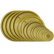 335LB Gold Olympic Steel Plate Set - 2 Inch Barbell Standard Weights in Premium Gold Finish