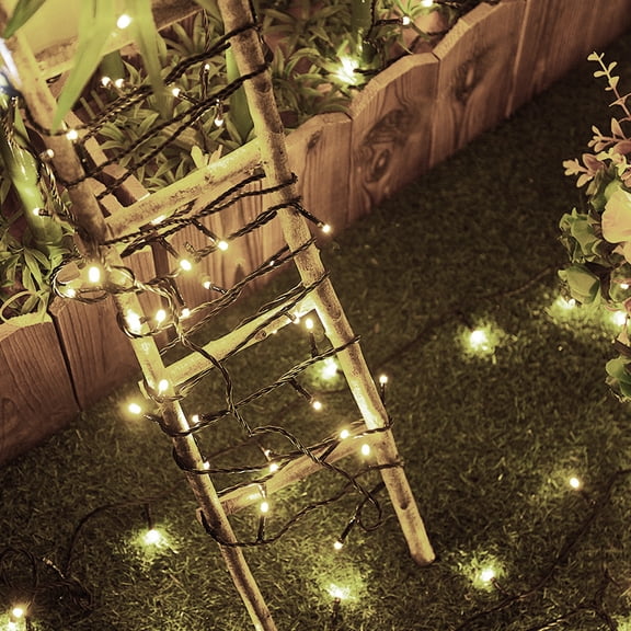 Beatineon 33ft/100 LEDs Christmas String Lights Indoor Outdoor Waterproof, Steady Glow Lights for Tree Room Bedroom Wedding Fall Decorations, 5V USB Powered Black Wire Fairy Light (Warm White)