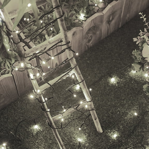 Beatineon 33ft/100 LEDs Christmas String Lights Indoor Outdoor Waterproof, Steady Glow Lights for Tree Room Bedroom Wedding Fall Decorations, 5V USB Powered Black Wire Fairy Light (White)