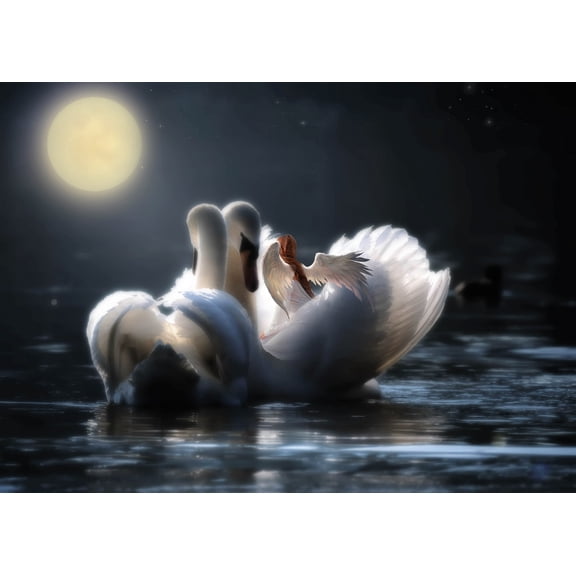 33x24in Photo Paper Fantasy Swan Night Moon Magic Angel Light