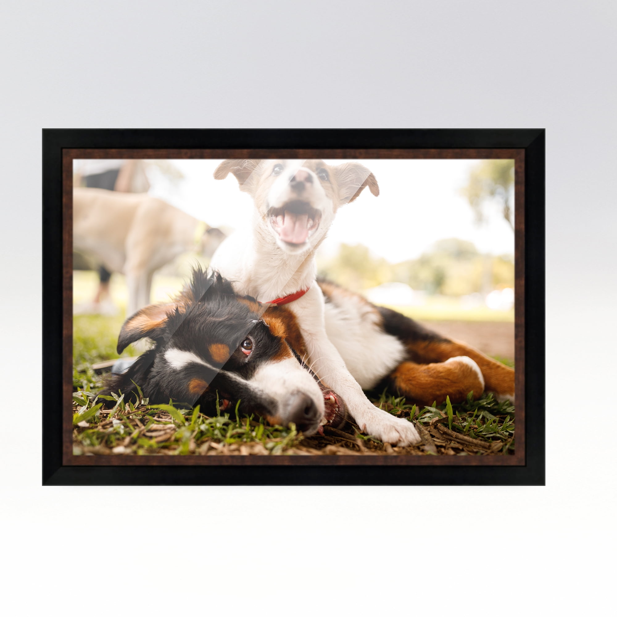 19.75x27.5 Puzzle Frame Kit with Glue Sheets | White Mid Century Picture  Frame | Real Wood with UV Resistant Acrylic Front | Made to Preserve and