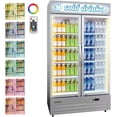 thumbnail image 1 of 34.8 Cu.ft Commercial Beverage Fridge, Double Glass Door Display Refrigerator with Adjustable Shelves, Customizable LED Lightbox & Frost-Free System, Beverage Cooler for Restaurant Bar Store, Silver, 1 of 8