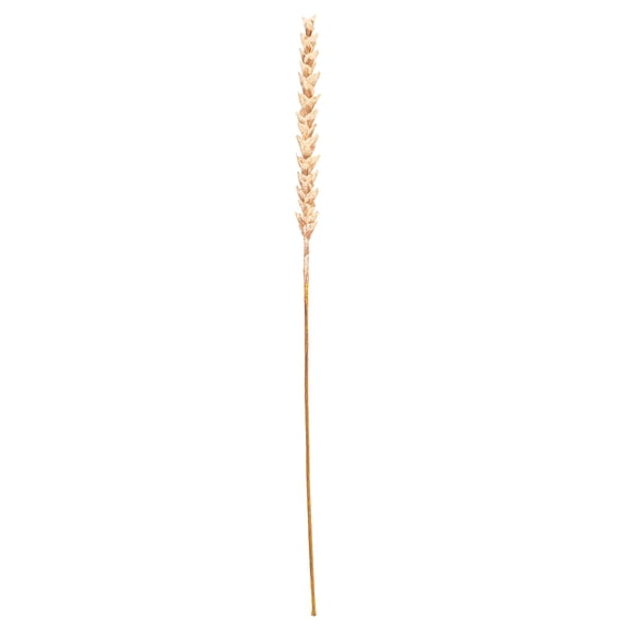 34" Art. Lt Brown Design Polynesian Stem