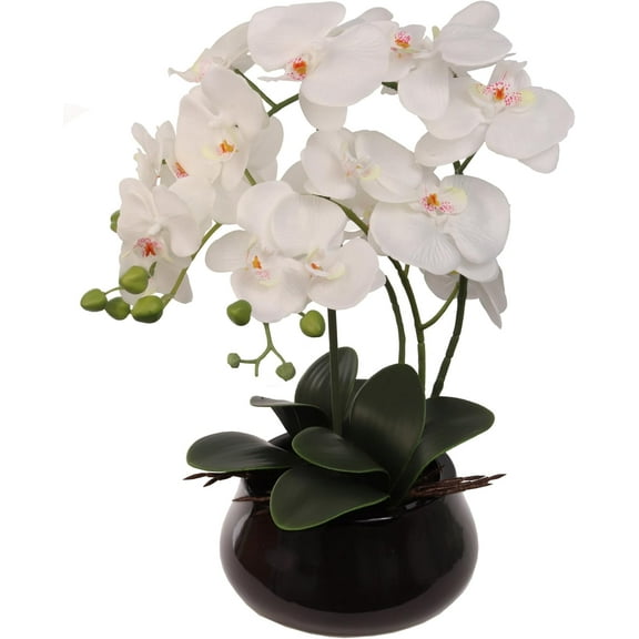 2-Pack White Phalaenopsis Orchid in Black Pot Lifelike Silk Flowers for Home, Office, and Wedding Dcor