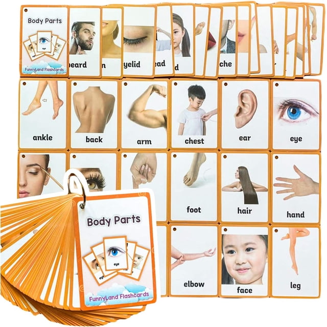34 Pcs/Set Body parts Flash Cards | Learning Toys Flashcards for ...