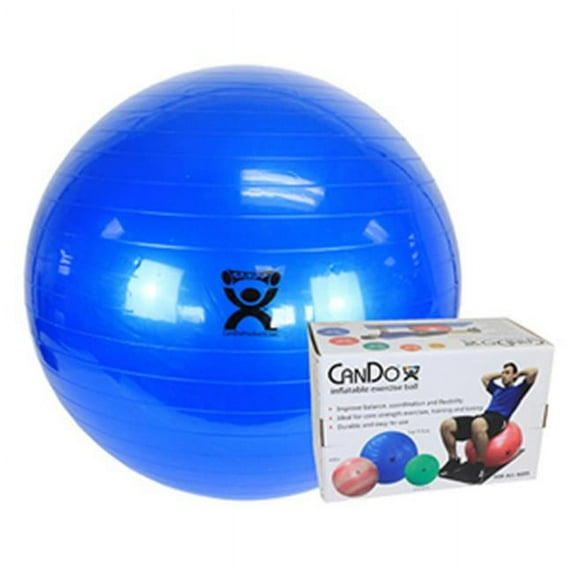 34 in. Inflatable Exercise Ball - Blue