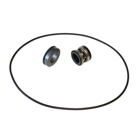 3430-0589 Hypro Life Guard Silicon Carbide Seal Kit