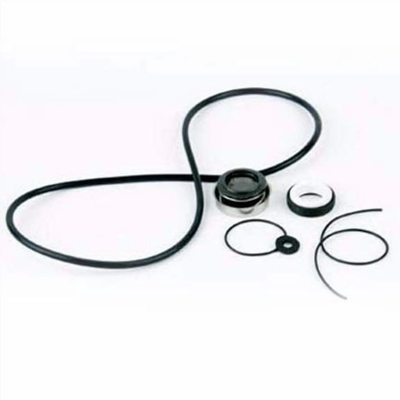 3430-0635 Hypro Seal Repair Kit for Transfer Pumps (1542P)