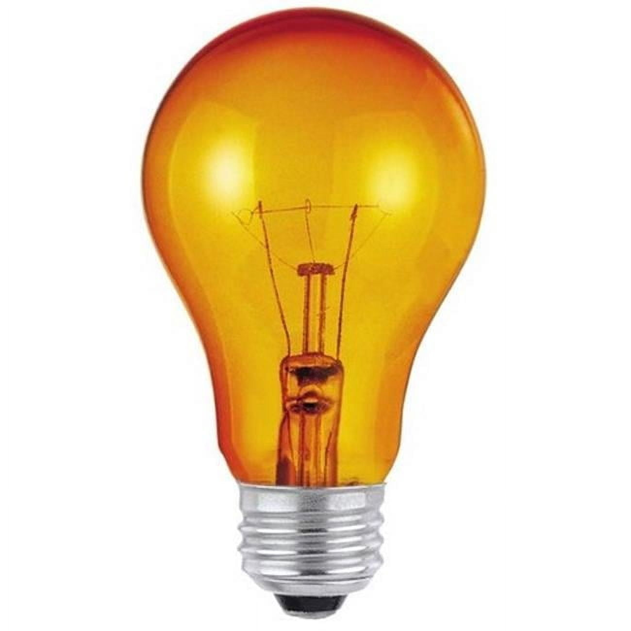 344300 25 watt A19 Incandescent Light Bulb - Transparent Amber