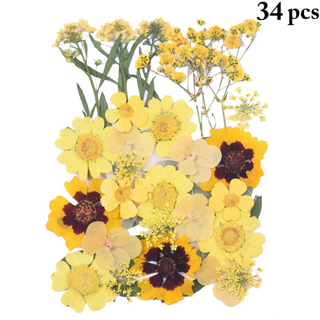 BIHRTC 100PCS Dried Flowers for Resin Real Dry Flower Natural Pressed Died  Leaves Sunflowers Chrysanthemum Resin Flowers Small Colorful Pressed  Flowers Daisies for Candle Jewelry Nail Pendant Making Yellow White