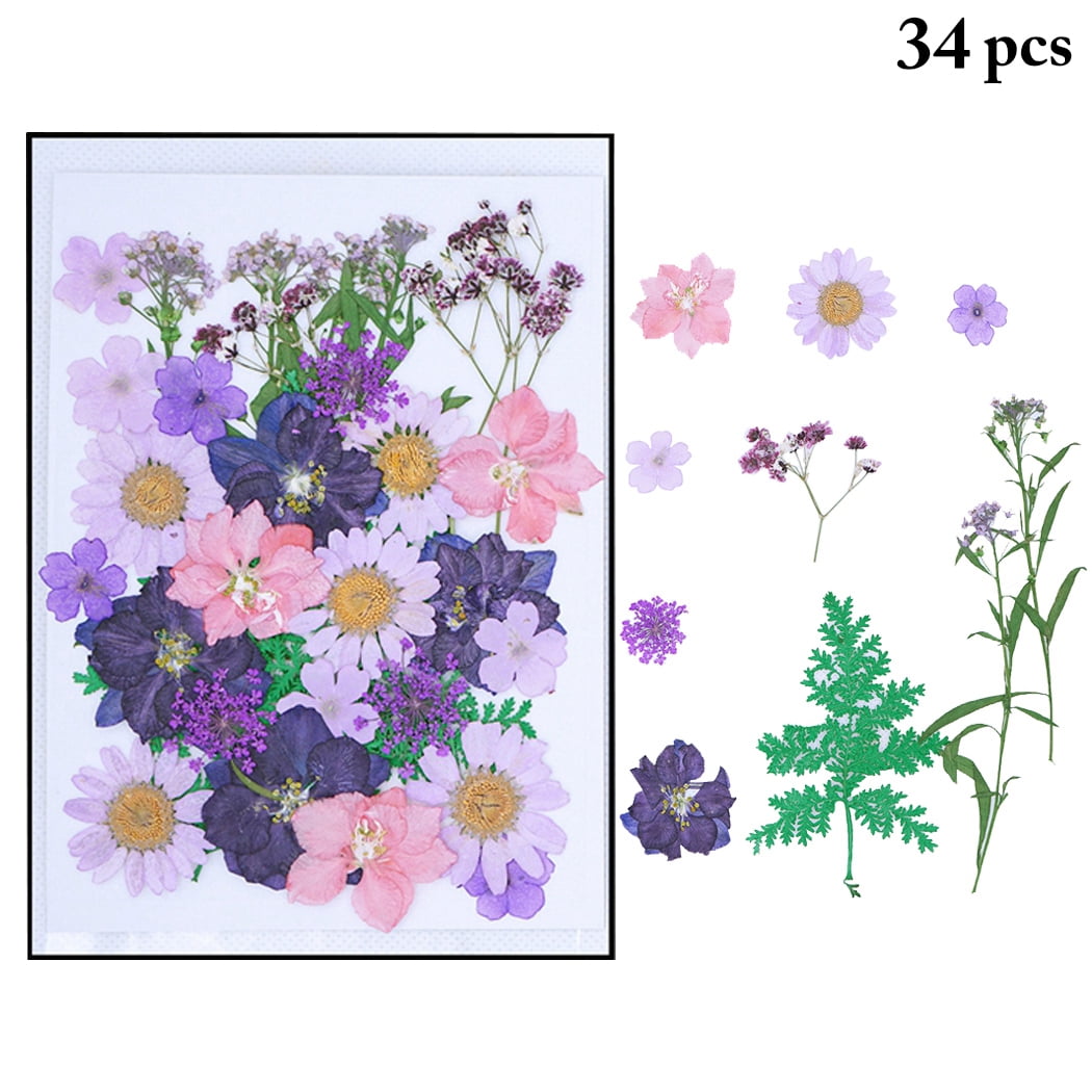 120PCS Dried Flowers for Resin, Real Pressed Flowers Dry Real Herbs Dry  Leaves Kit Best Gift for Children, Girl, Boy on DIY Art Crafts, Epoxy  Resin